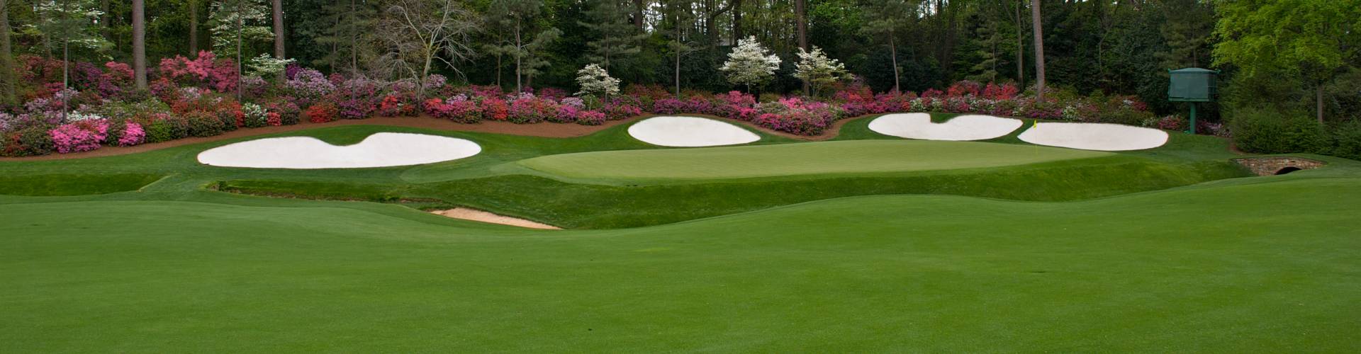 PGA Pros Take On Greens Southwest Greens